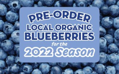 Blueberry Preorders 2022