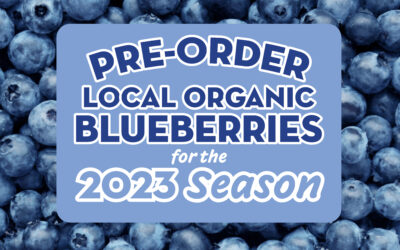 Blueberry Preorders 2023