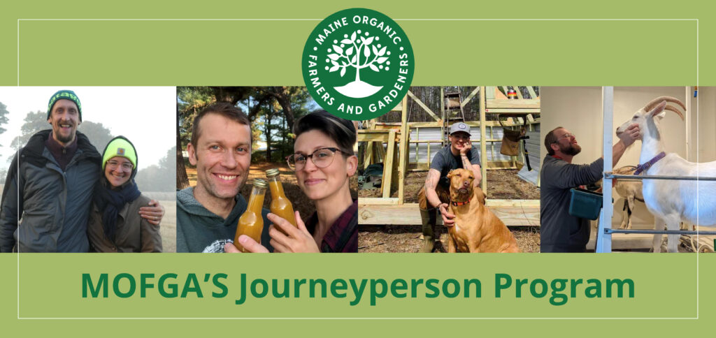 MOFGA Journeyperson Program | Common Cents November 2023 - Belfast ...