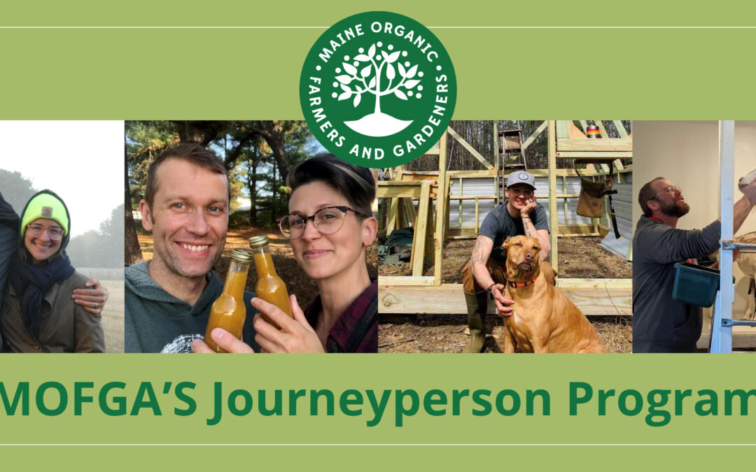 MOFGA Journeyperson Program | Common Cents November 2023