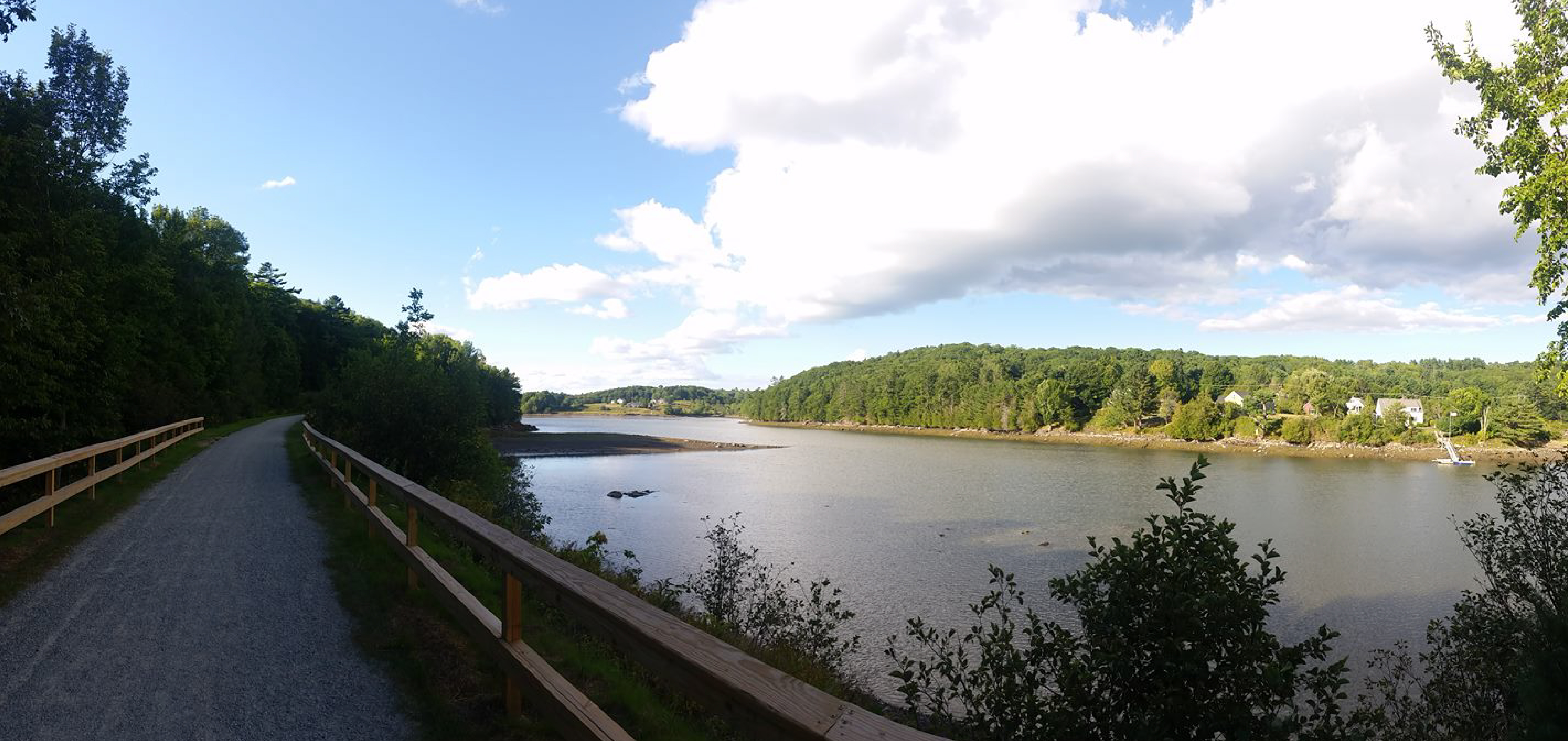 Friends of Belfast Parks | Common Cents July 2024