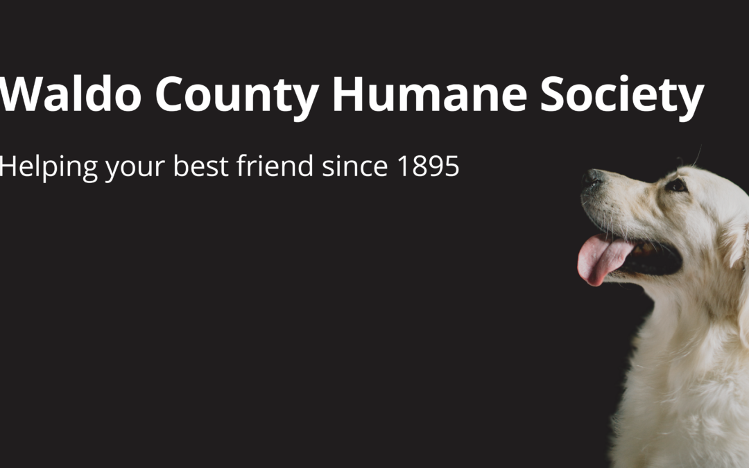 Waldo County Humane Society | Common Cents September 2024