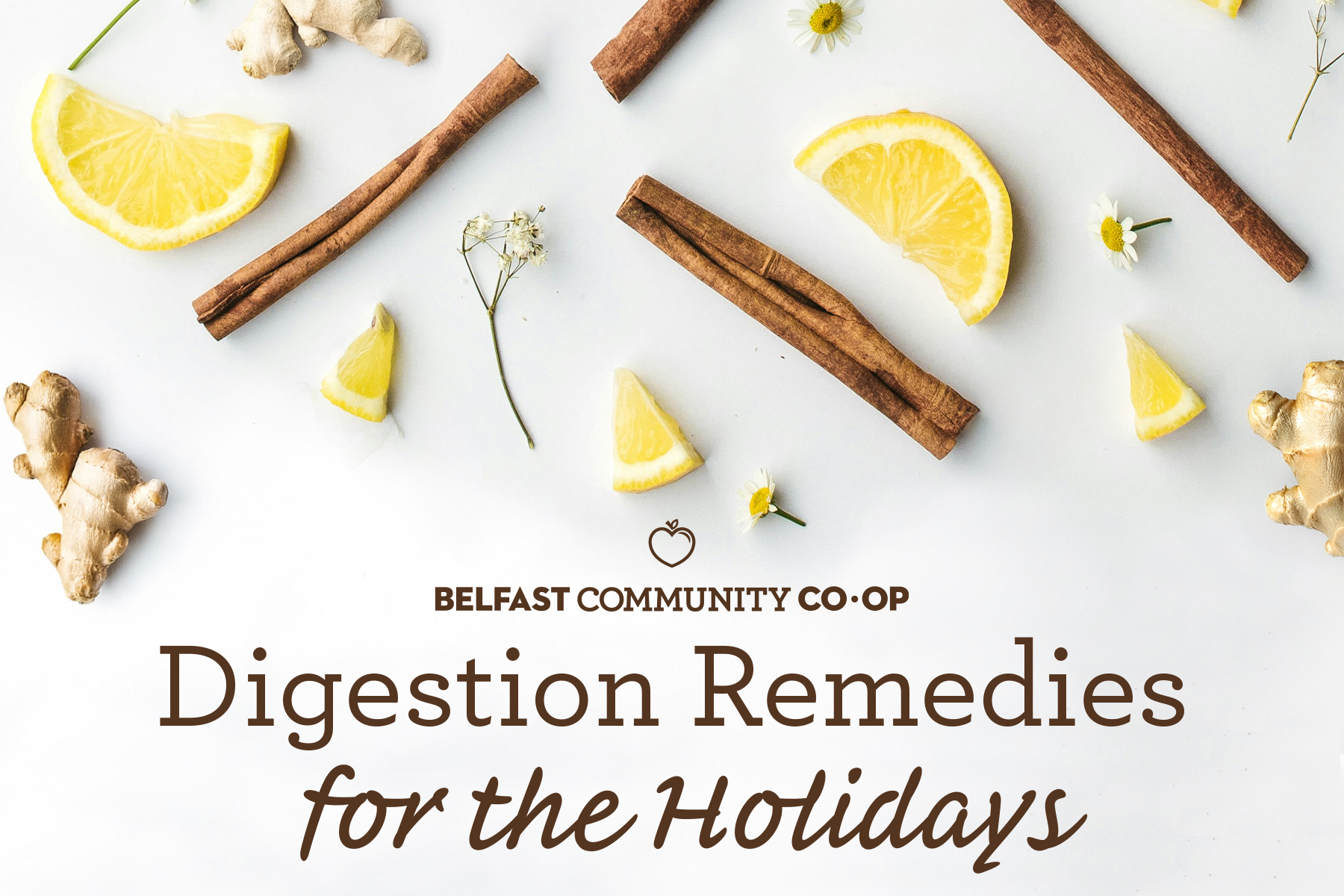 Digestion Remedies for the Holidays