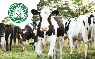 The Belfast Community Co-op Joins The Northeast Organic Family Farm Partnership