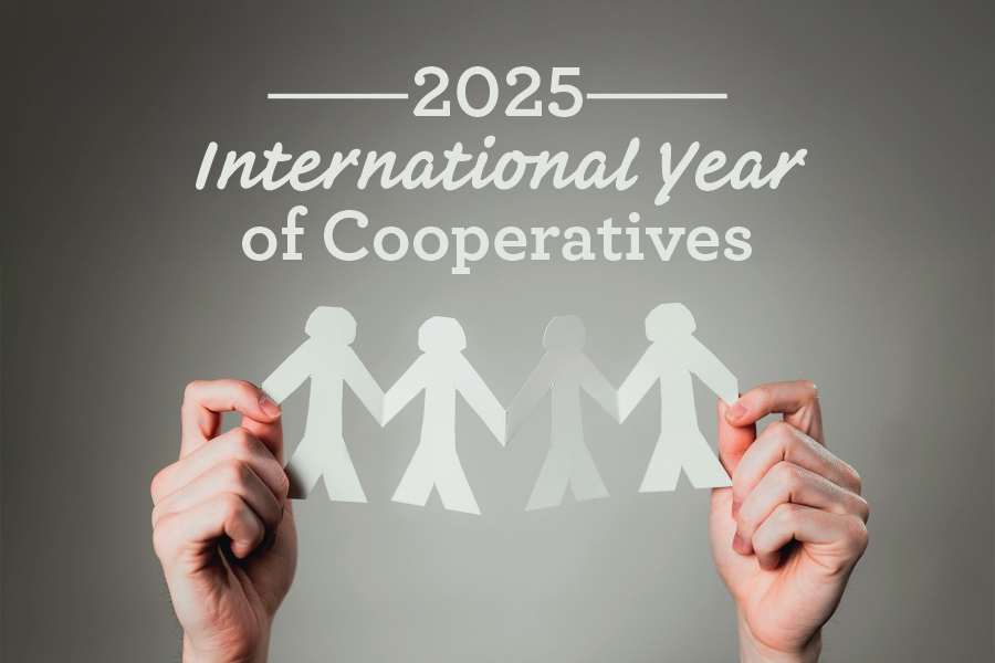 2025 International Year of Cooperatives