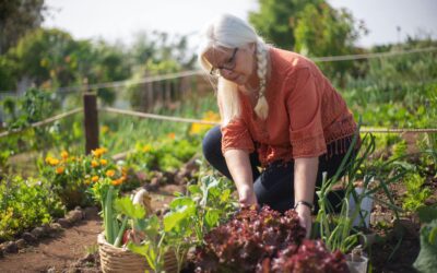 Gearing Up to Garden