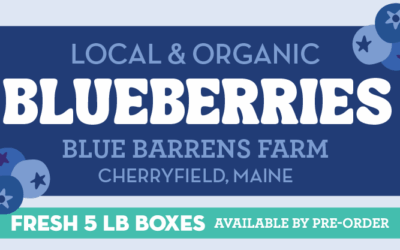 Blueberry Pre-Order 2025