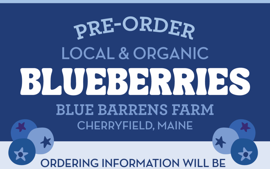 Blueberry Pre-Order 2025