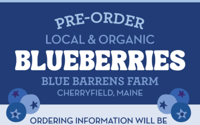Blueberry Pre-Order 2025