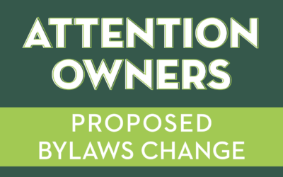 Bylaws Change 2026