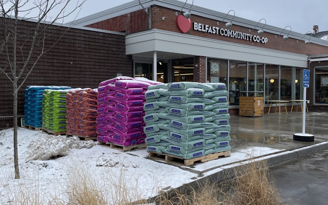 The General Manager’s Spring 2026 Update