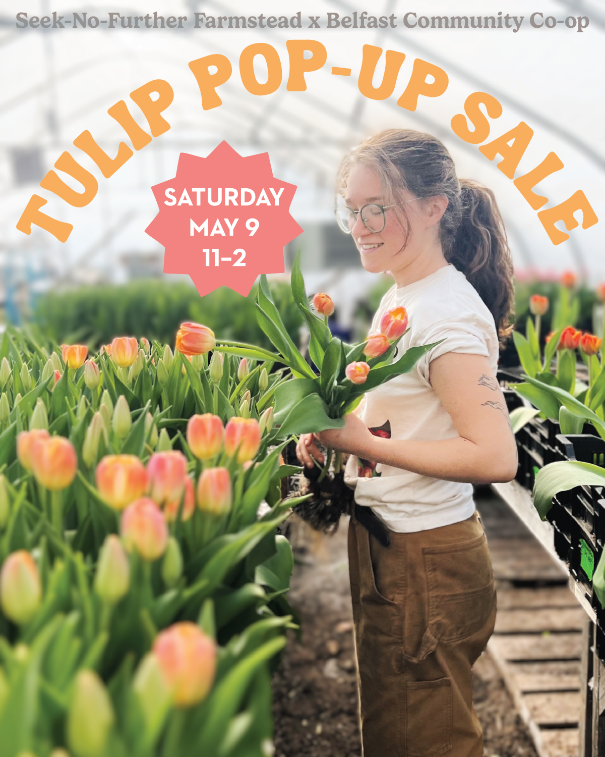 tulip pop up sale Tulip Pop-Up Sale at Belfast Community Co-op 5/9/26 11–2