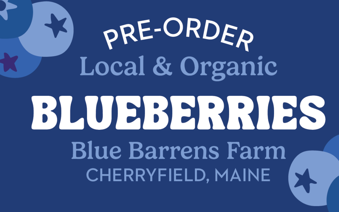 Blueberry Pre-Order 2026